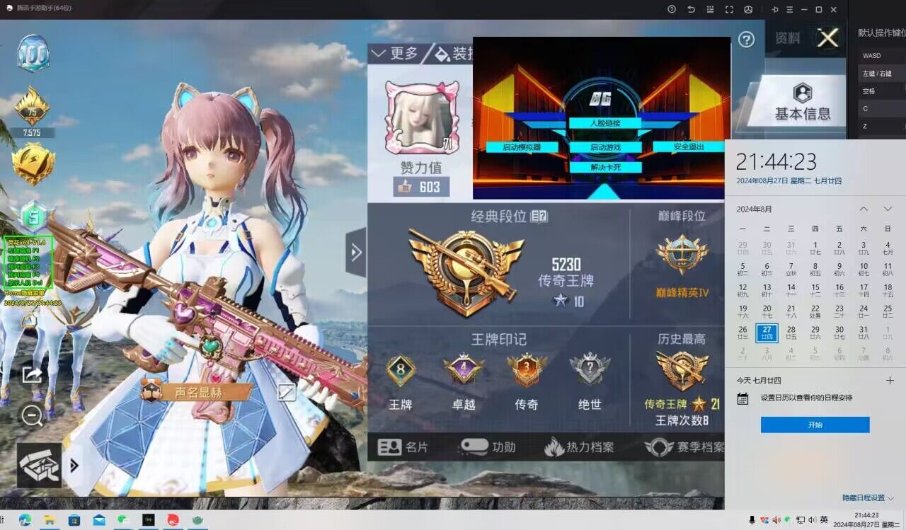 和平精英《向日葵》外挂